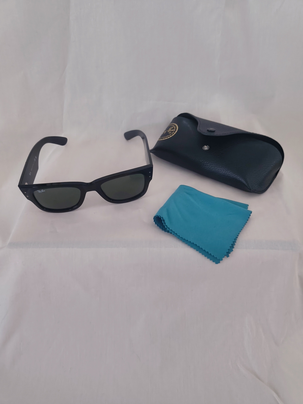 Ray-Ban Black Wayfarer Sunglasses with Case